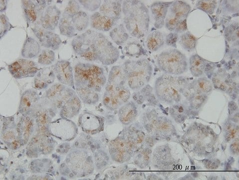 Monoclonal Anti-TRIM35 antibody produced in mouse clone 4F7, purified immunoglobulin, buffered aqueous solution