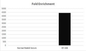 抗乙酰组蛋白H4（Lys8）抗体 serum, Upstate®