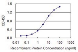 Monoclonal Anti-ZNRD1 antibody produced in mouse clone 6C12, purified immunoglobulin, buffered aqueous solution