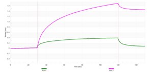 Anti-Cyclin E2 Antibody, clone 1F10 ZooMAb® Rabbit Monoclonal recombinant, expressed in HEK 293 cells