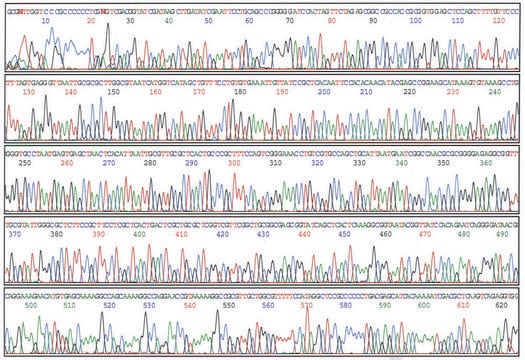 GenElute&#8482; Plasmid Miniprep Kit sufficient for 350&#160;purifications