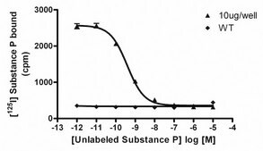 ChemiSCREEN Human NK1 Tachykinin Receptor Membrane Preparation Human NK1 GPCR membrane preparation for Radioligand binding Assays &amp; GTP&#947;S binding.