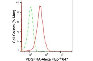 Anti PDGFRA Antibody, clone 24GB1165, Rabbit Monoclonal clone 24GB1165, recombinant rabbit monoclonal, expressed in HEK293 cells