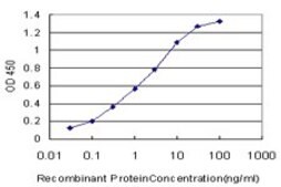 Monoclonal Anti-HOXD11 antibody produced in mouse clone 6D8, purified immunoglobulin, buffered aqueous solution