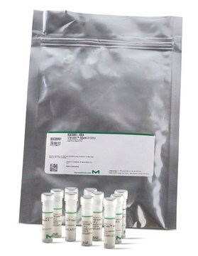 Enterobacter cloacae WDCM 00083 Vitroids&#8482; 1,000-10,000 CFU mean value range, certified reference material, suitable for microbiology, Manufactured by: Sigma-Aldrich Production GmbH, Switzerland