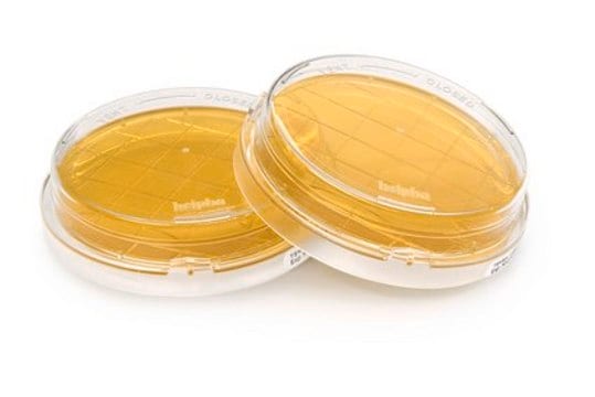 Tryptic Soy Agar TSA with Lecithin, Tween&#174;, histidine and sodium thiosulfate- ICR plus Contact plate, irradiated, triple packed, for environmental monitoring (Isolator and Clean room)