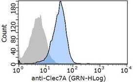 Anti-CLEC7A (Dectin-1) Antibody from rabbit, purified by affinity chromatography