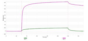 Anti-TIMP2 Antibody, clone 2H23 ZooMAb&#174; Rabbit Monoclonal recombinant, expressed in HEK 293 cells