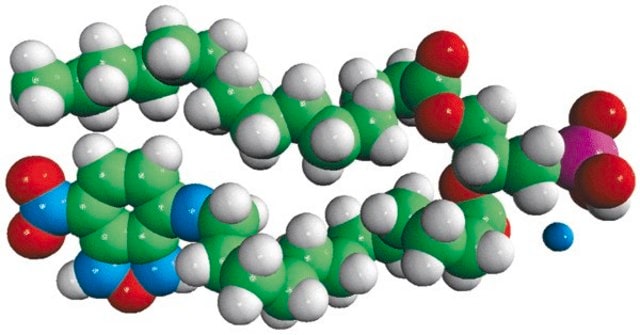 16:0-12:0 NBD PA Avanti Polar Lipids 810174P, powder