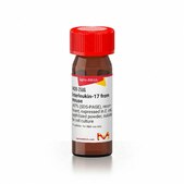Interleukin-17 from mouse ≥97% (SDS-PAGE), recombinant, expressed in E. coli, lyophilized powder, suitable for cell culture