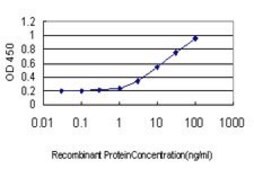 ANTI-TEK antibody produced in mouse clone 2D7, purified immunoglobulin, buffered aqueous solution
