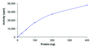 MNK1, active, GST tagged human PRECISIO®, recombinant, expressed in baculovirus infected Sf9 cells, ≥70% (SDS-PAGE), buffered aqueous glycerol solution