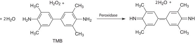 ELISA 用 3,3&#8242;,5,5&#8242;-四甲基联苯胺 (TMB) 液体底物系统 peroxidase substrate