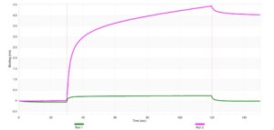 Anti-CD1d1 Antibody, clone 3G23 ZooMAb® Rabbit Monoclonal recombinant, expressed in HEK 293 cells
