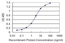 Monoclonal Anti-SUMO3 antibody produced in mouse clone 4G11, purified immunoglobulin, buffered aqueous solution