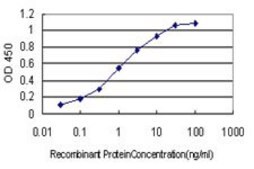 Monoclonal Anti-MYBPH antibody produced in mouse clone 1F11, purified immunoglobulin, buffered aqueous solution
