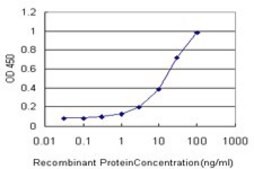 Monoclonal Anti-ORC4L antibody produced in mouse clone 2A8, purified immunoglobulin, buffered aqueous solution