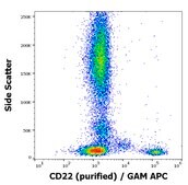 Monoclonal Anti-CD22, purified produced in mouse