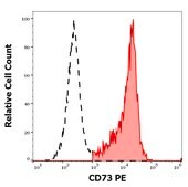 Monoclonal Anti-CD73 PE produced in mouse