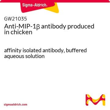 Anti-MIP-1&#946; antibody produced in chicken affinity isolated antibody, buffered aqueous solution