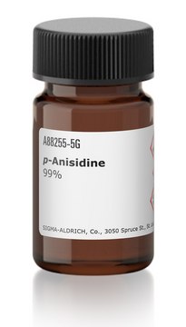 わ*ん様 銀製　スプン 125g p-Anisidine 4-Methoxyaniline