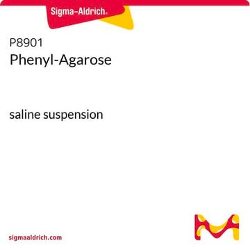 苯基琼脂糖 saline suspension