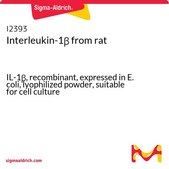 Interleukin-1β from rat IL-1β, recombinant, expressed in E. coli, lyophilized powder, suitable for cell culture