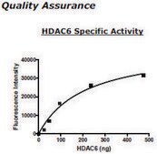 HDAC-6 human recombinant, expressed in baculovirus infected insect cells, &#8805;80% (SDS-PAGE)