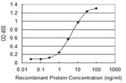 Monoclonal Anti-CDY2A antibody produced in mouse clone 4C8, purified immunoglobulin, buffered aqueous solution
