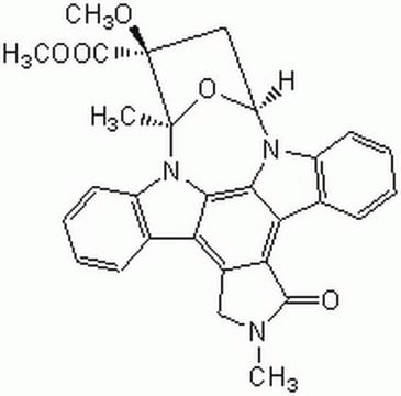 KT5823 Highly specific, cell-permeable, reversible, and ATP-competitive inhibitor of protein kinase G (Ki = 234 nM).