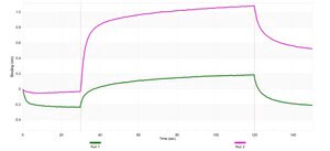 Anti-Podocalyxin Antibody, clone 1E13 ZooMAb® Rabbit Monoclonal recombinant, expressed in HEK 293 cells