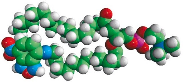 Acyl 12:0 NBD PC Avanti Research&#8482; - A Croda Brand 810129P, powder