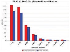 Anti-PPA2 (186-200) antibody produced in rabbit IgG fraction of antiserum