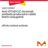 Anti-OTUD1 (C-terminal) antibody produced in rabbit biotin conjugated affinity isolated antibody