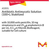 抗生素抗霉菌溶液（100×），稳定 with 10,000 units penicillin, 10 mg streptomycin and 25 μg amphotericin B per mL, 0.1 μm filtered, BioReagent, suitable for cell culture