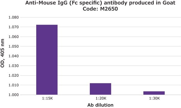 Anti-Mouse IgG (Fc specific) antibody produced in goat affinity isolated antibody, buffered aqueous solution