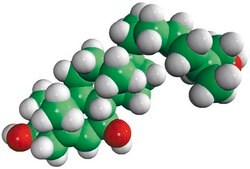 7β,27-dihydroxycholesterol Avanti Research™ - A Croda Brand