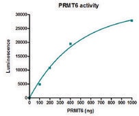 PRMT6 active human recombinant, expressed in E. coli, &#8805;70% (SDS-PAGE)