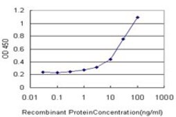 Monoclonal Anti-MEOX1 antibody produced in mouse clone 1A12, purified immunoglobulin, buffered aqueous solution