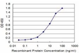 Monoclonal Anti-IRAK4 antibody produced in mouse clone 1C3, purified immunoglobulin, buffered aqueous solution