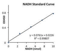 乳酸脱氢酶活性检测试剂盒 sufficient for 500&#160;colorimetric&nbsp;tests