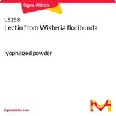 Lectin from Wisteria floribunda lyophilized powder