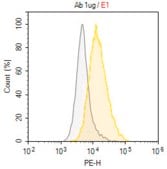 Anti-CD96 Antibody, clone NK92.39