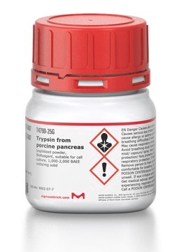 胰蛋白酶 来源于猪胰腺 lyophilized powder, BioReagent, suitable for cell culture, 1,000-2,000&#160;BAEE units/mg solid
