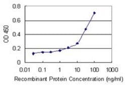 Monoclonal Anti-UBR1 antibody produced in mouse clone 4G7, purified immunoglobulin, buffered aqueous solution