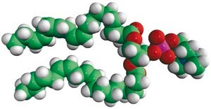 18:3 (Cis) PC Avanti Research™ - A Croda Brand 850395C