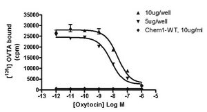 ChemiScreen Recombinant Human OT Oxytocin Receptor Membrane Preparation Human OT GPCR membrane prepation for Radioligand binding Assays.