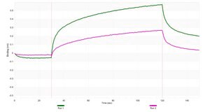 Anti-His tag Antibody, clone 1J13 ZooMAb&#174; Rabbit Monoclonal recombinant, expressed in HEK 293 cells