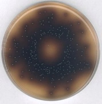 Bile esculin agar suitable for microbiology, NutriSelect&#174; Plus