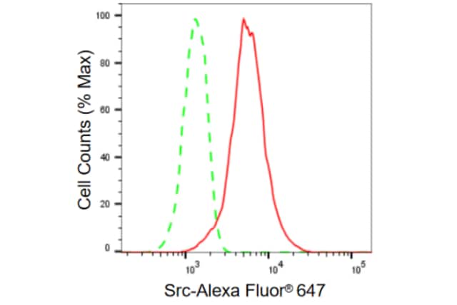 KD-Validated Anti Src Antibody, clone 23GB980, Rabbit Monoclonal clone 23GB980, recombinant rabbit monoclonal, expressed in HEK293 cells